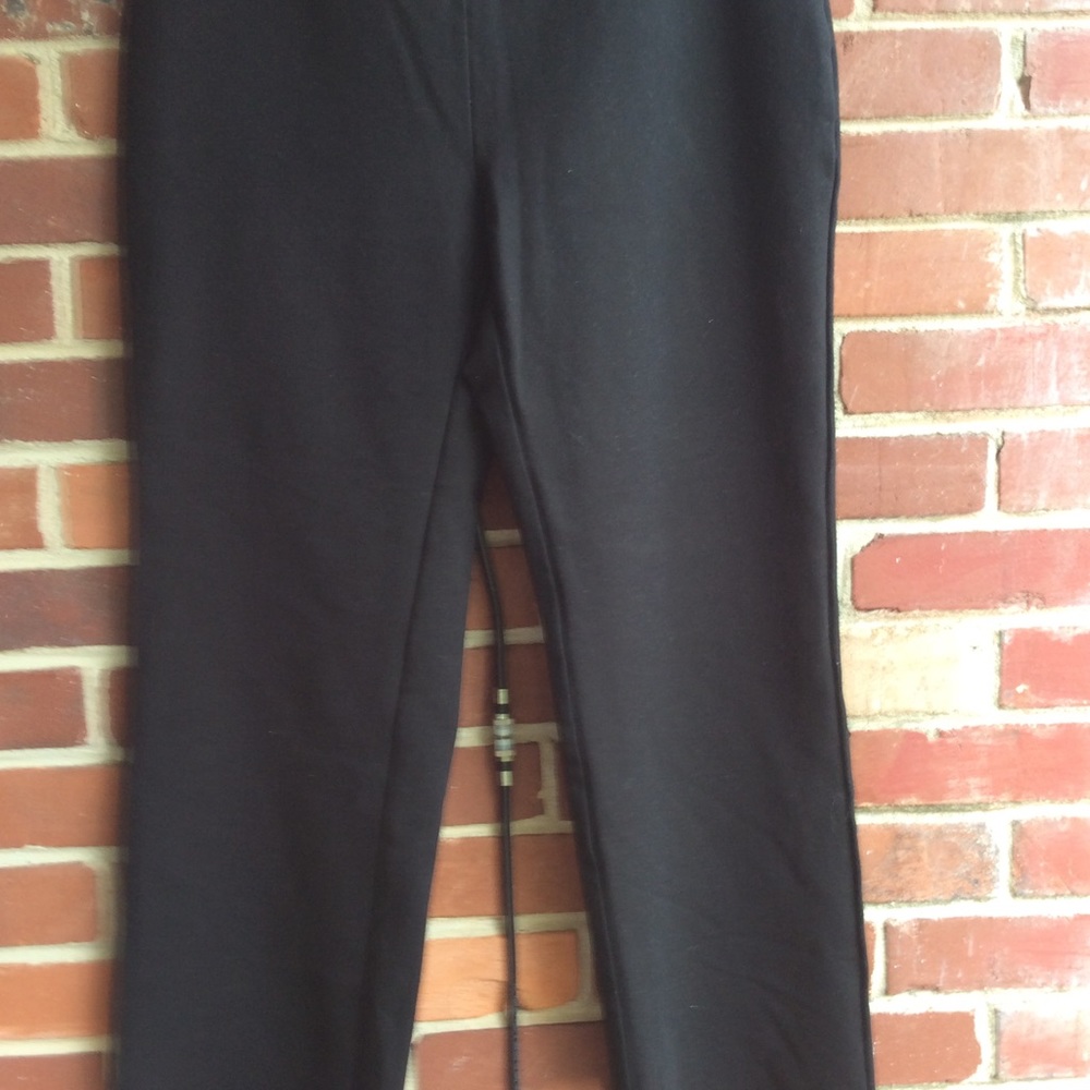 Soft Surroundings Stretch Pants - image 6